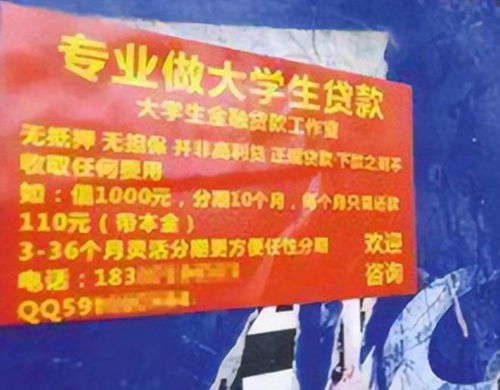 福建小伙带领全村500多人撸网贷,光借不还,把全国一半平台搞垮