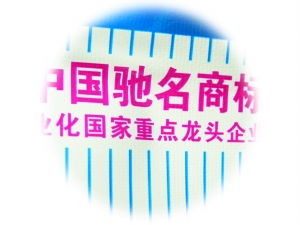 海口晚报数字报·海口网